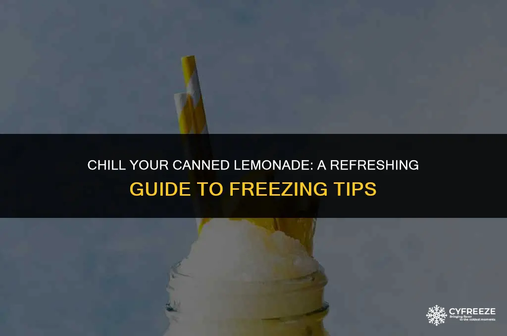 can i put canned lemonade in the freezer
