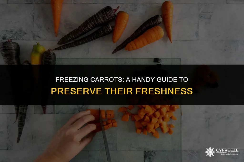 can i put carrots in freezer