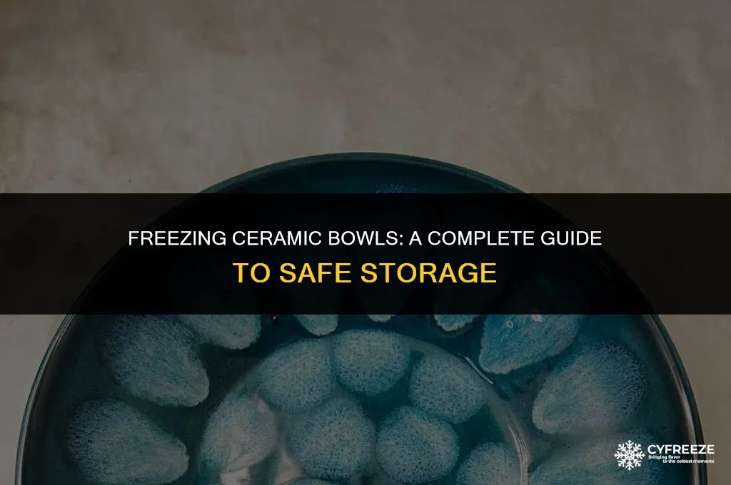 can i put ceramic bowl in freezer