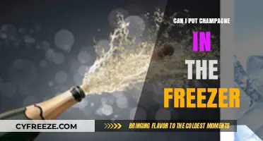 Chill or Not to Chill: The Champagne Freezer Dilemma
