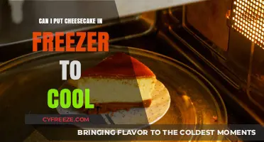 Chill Your Cheesecake: A Guide to Perfect Freezer Cooling