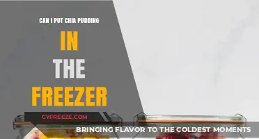 Chia Pudding 101: Freezing Tips for a Refreshing Treat