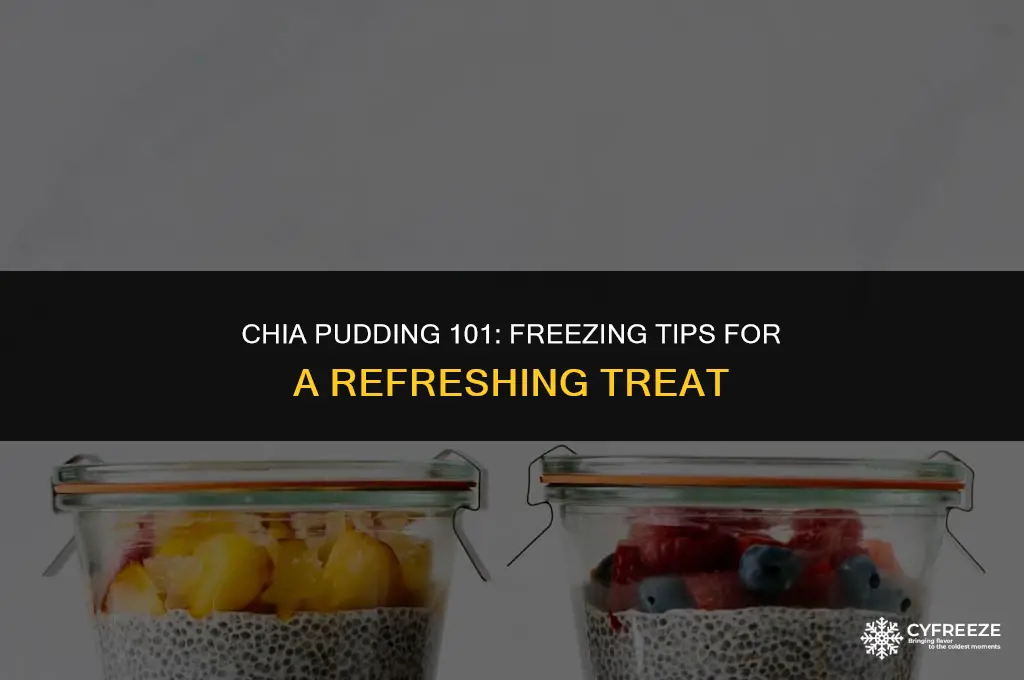 can i put chia pudding in the freezer