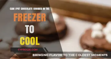 Chill Your Chocolate Cookies: A Guide to Freezing Treats
