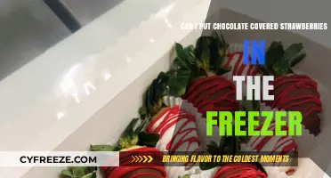 Freeze Your Treats: Chocolate-Covered Strawberries' Chilly Adventure