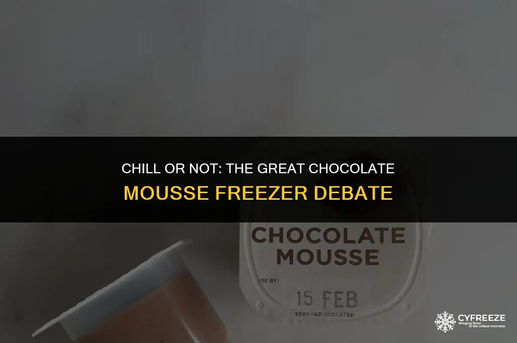 can i put chocolate mousse in the freezer