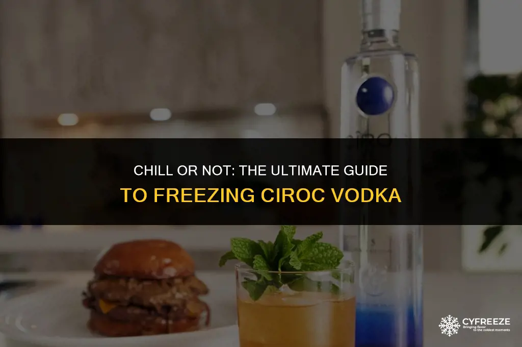can i put ciroc in the freezer