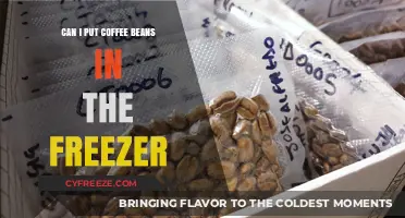 Freeze Your Coffee Beans: A Guide to Preserving Flavor and Freshness