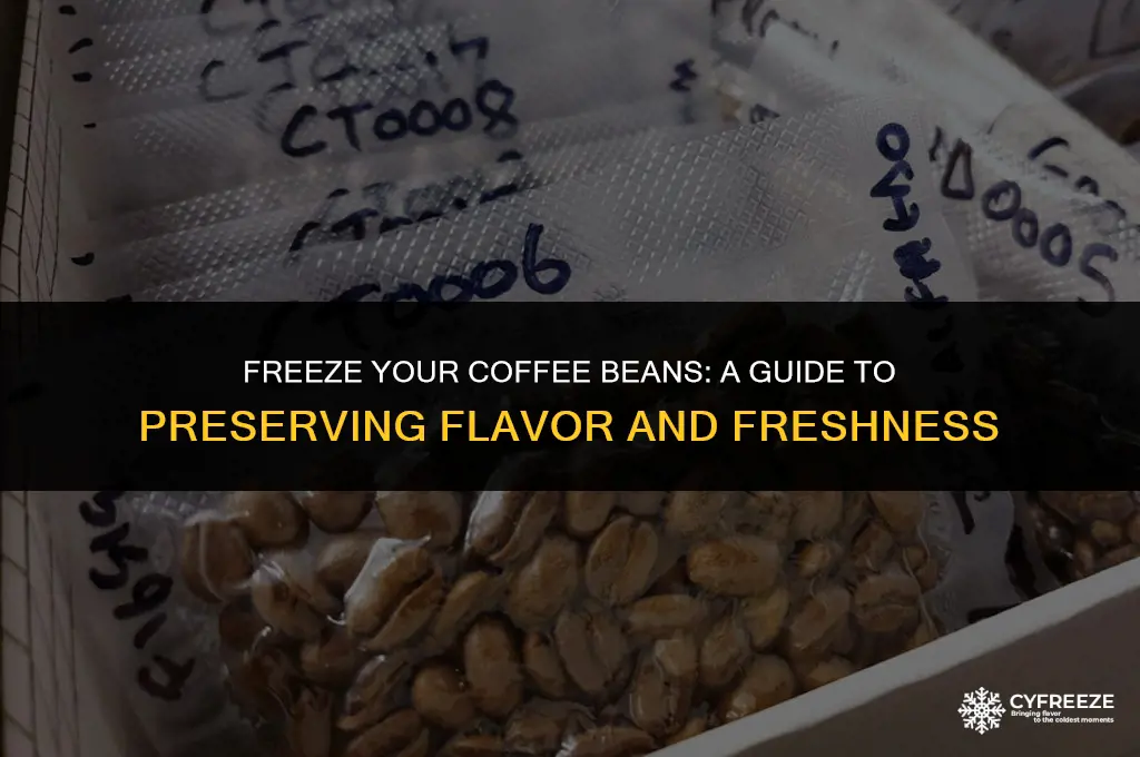 can i put coffee beans in the freezer