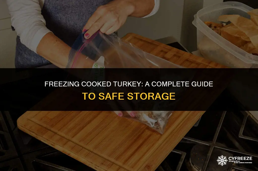 can i put cooked turkey in the freezer