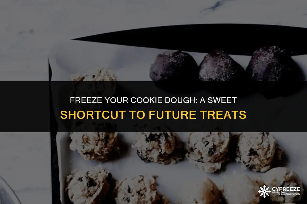 can i put cookie dough in freezer instead of fridge