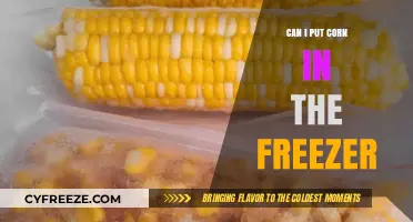 Freezing Corn: A Handy Guide to Preserve Freshness