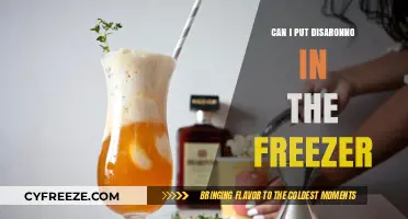 Chill or Not: The Ultimate Guide to Freezing Disaronno