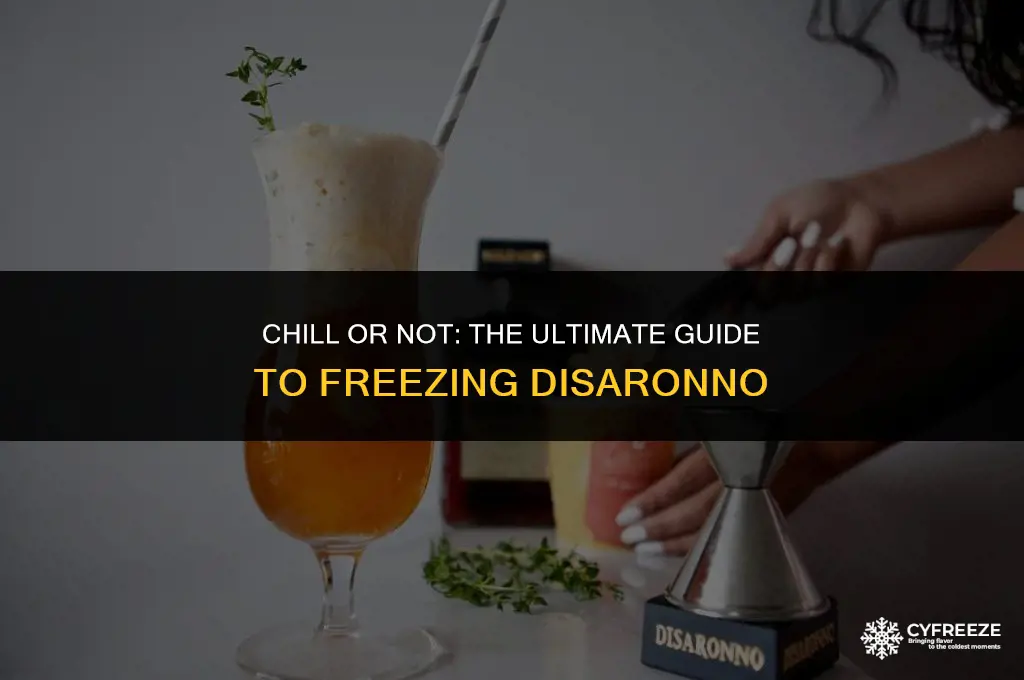 can i put disaronno in the freezer