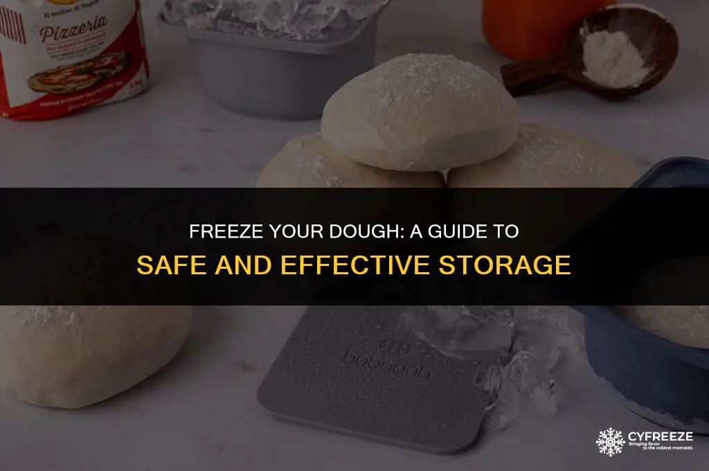 can i put dough in the freezer