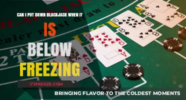Can I Put Down Blackjack When It's Below Freezing?
