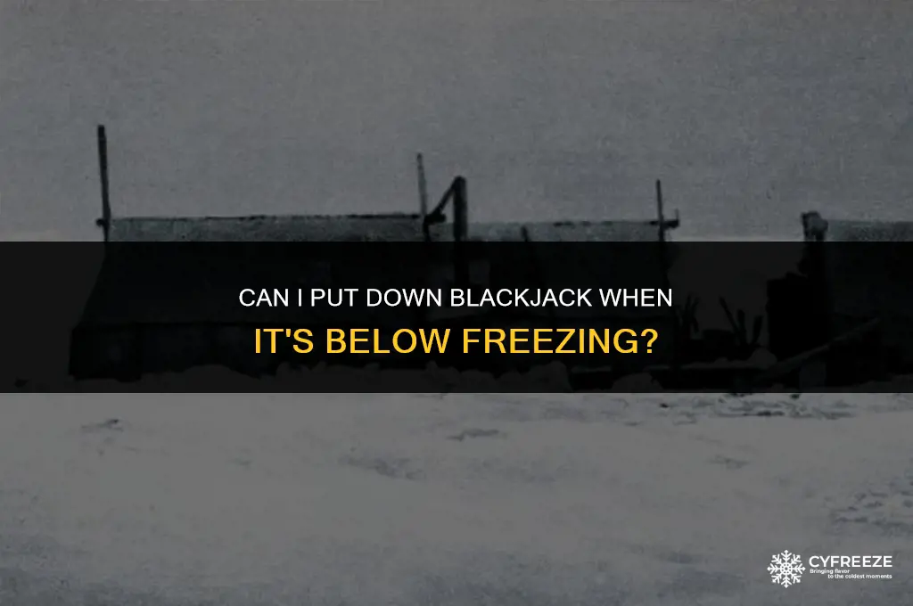 can i put down blackjack when it is below freezing