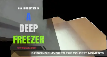 Deep Freeze or Dry Ice: Which Wins for Long-Term Storage?