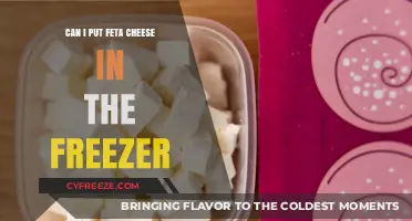 Feta Freeze: Your Guide to Storing Cheese Safely