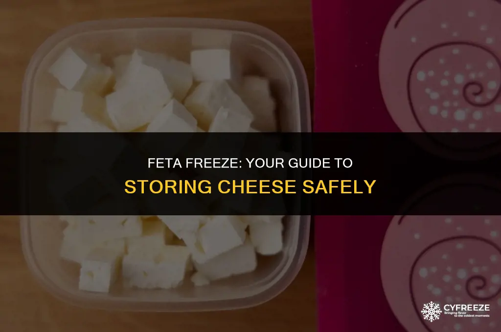 can i put feta cheese in the freezer