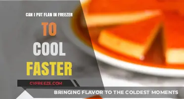 Quick Chill: The Do's and Don'ts of Freezing Flan for Faster Cooling