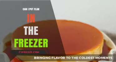 Flan Freeze: A Guide to Safely Storing Your Custard Delight