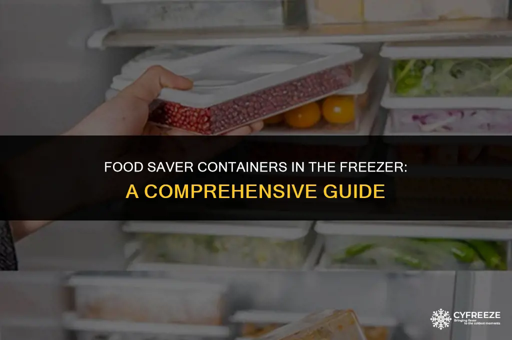 can i put food saver containers in the freezer