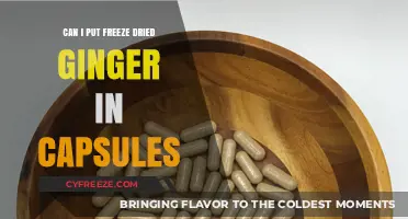 Exploring the Benefits of Freeze-Dried Ginger in Capsules
