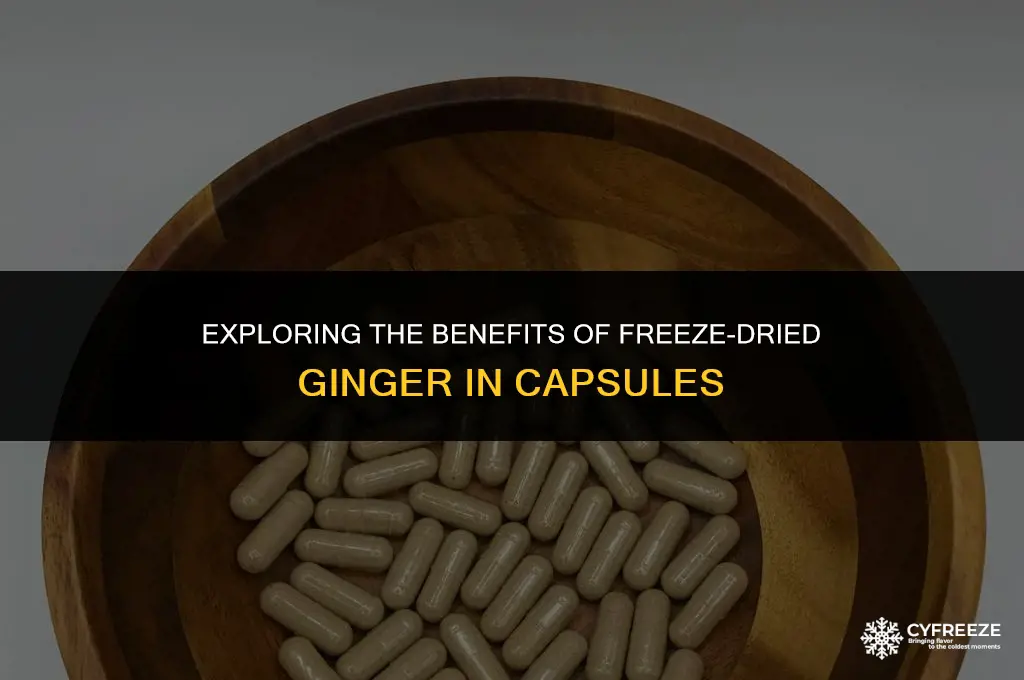 can i put freeze dried ginger in capsules