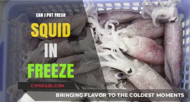 Fresh Squid Storage: Freezing Tips for Optimal Quality