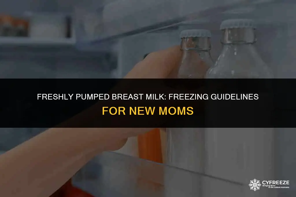 can i put freshly pumped breast milk in the freezer