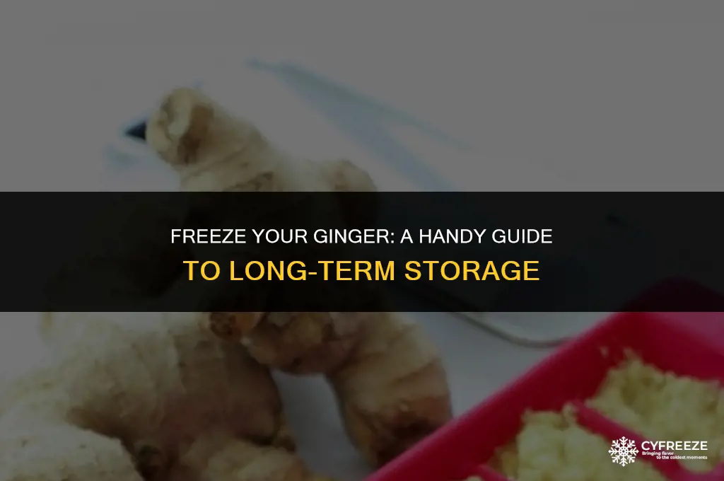 can i put ginger in the freezer