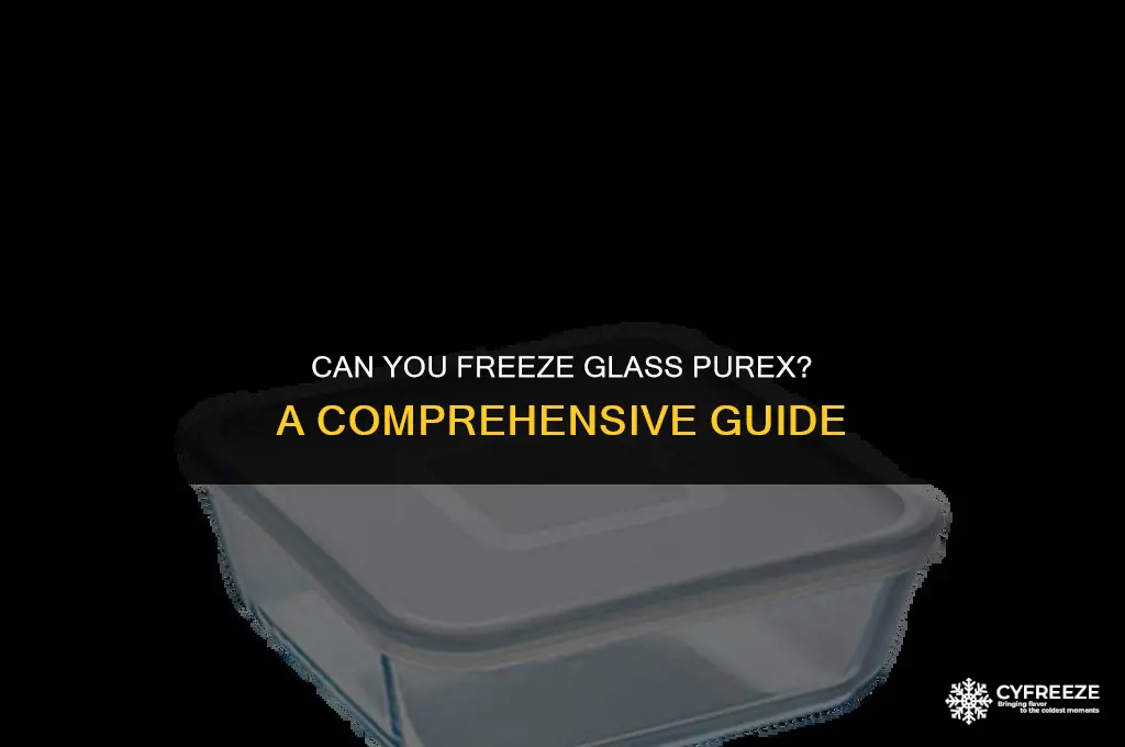 can i put glass purex in the freezer