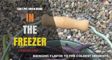 Freezing Green Beans: A Handy Guide for Gardeners and Cooks