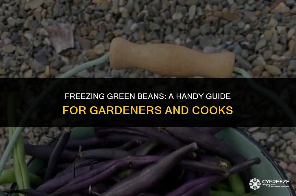 can i put green beans in the freezer