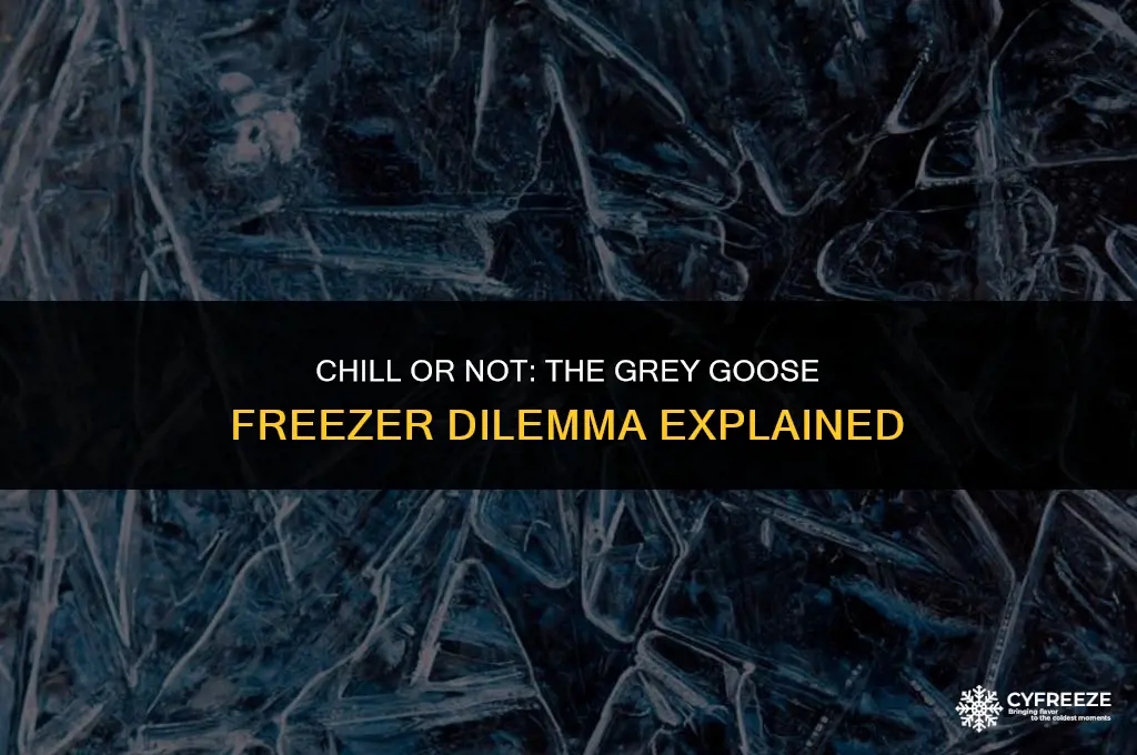 can i put grey goose in the freezer