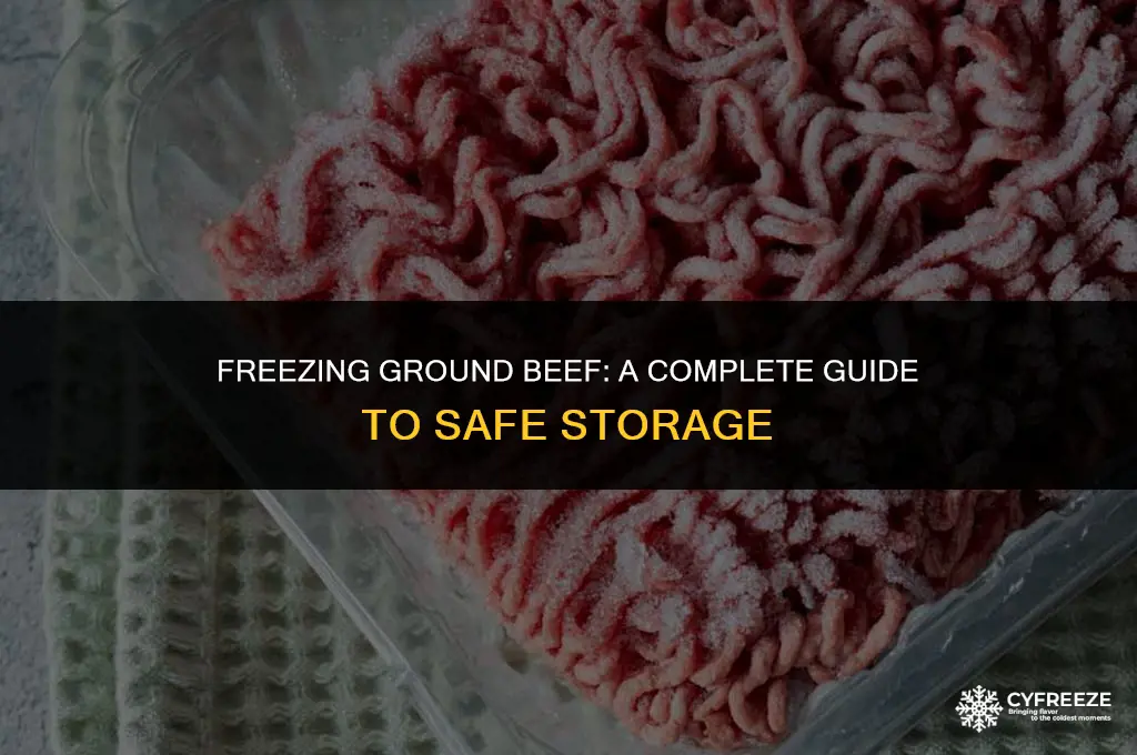 can i put ground beef in freezer