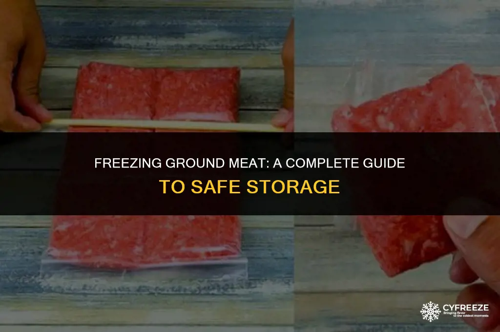 can i put ground meat in freezer sirh store container