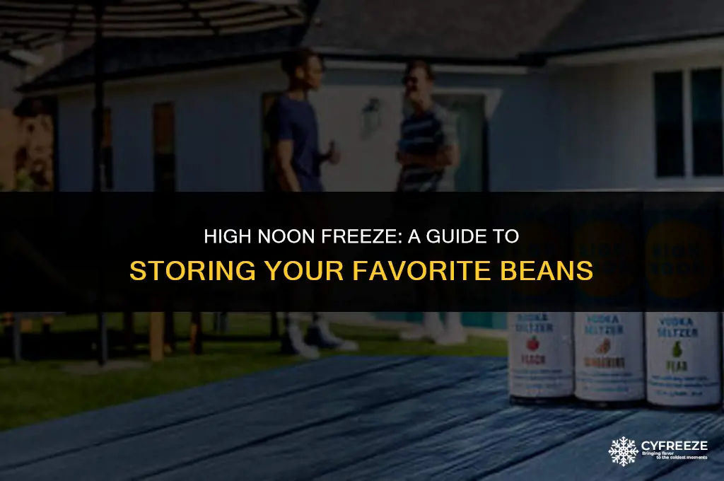 can i put high noons in the freezer