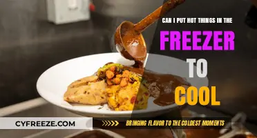 Chill Out: The Do's and Don'ts of Freezing Hot Food