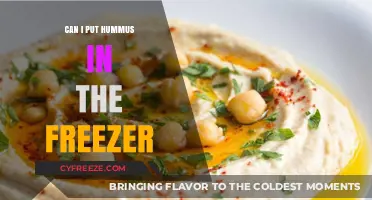 Hummus Freezing Guide: Tips and Tricks for Long-Term Storage