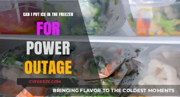 Ice in the Freezer: A Smart Hack for Power Outages