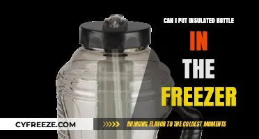 Chill Your Drink: Insulated Bottles and the Freezer Dilemma