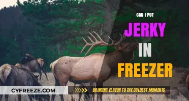 Jerky Storage 101: Freezing Tips for Optimal Preservation