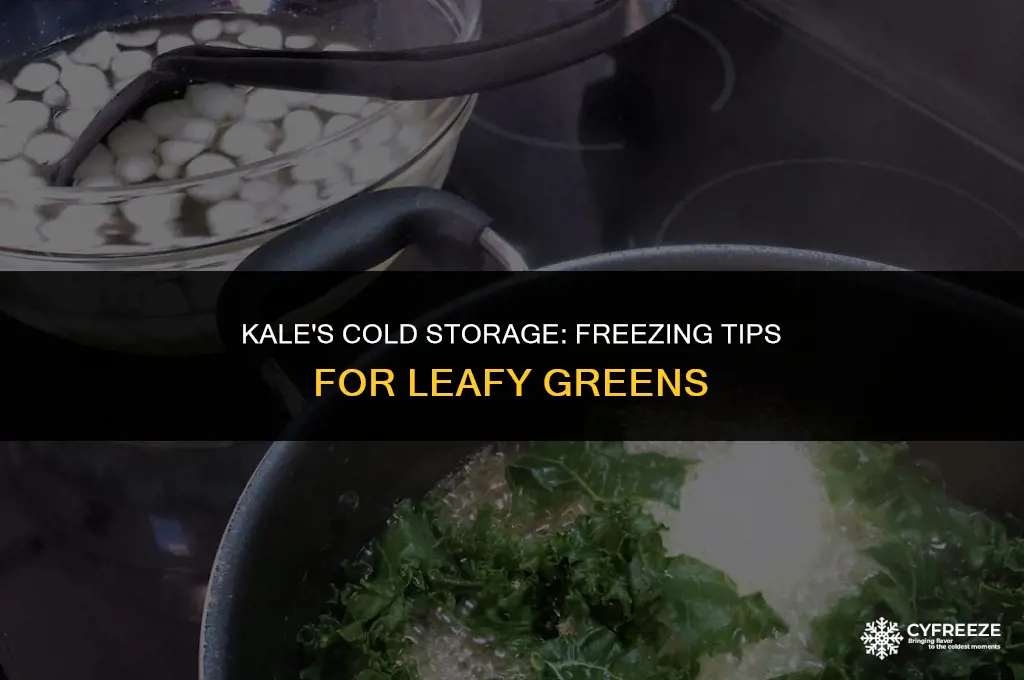 can i put kale in the freezer