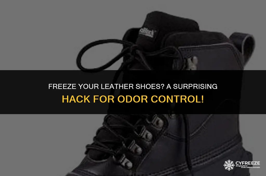 can i put leather shoes in the freezer