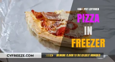 Freeze Your Pizza: A Guide to Perfect Leftover Preservation