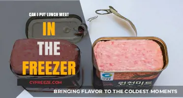 Freezing Lunch Meat: A Handy Guide for Food Storage