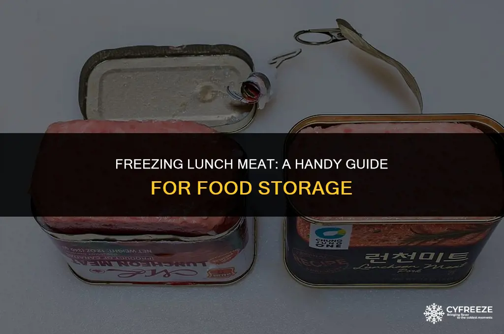 can i put lunch meat in the freezer