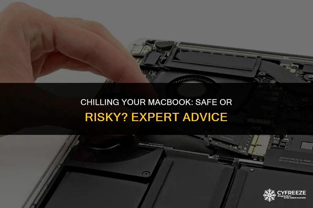can i put macbook in freeze from cold
